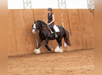 Tinker, Ruin, 9 Jaar