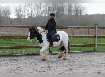 Tinker, Stute, 4 Jahre, 126 cm, Schecke