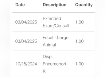 Tinker, Stute, 5 Jahre, Dunkelfuchs