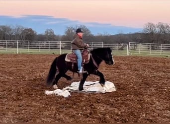 Tinker, Wałach, 10 lat, 122 cm, Kara
