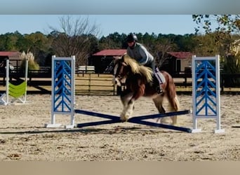 Tinker, Yegua, 4 años, 140 cm, Alazán-tostado