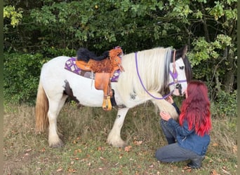 Tinker, Yegua, 4 años, 142 cm, Pío