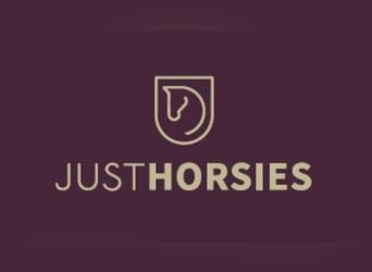 Trakehner, Gelding, 6 years, 16,2 hh, Bay-Dark