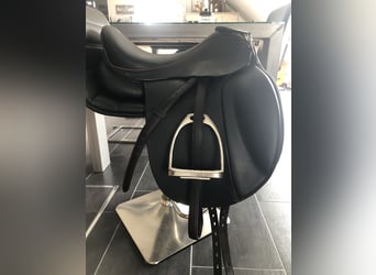 Trakehner, Giumenta, 5 Anni, 170 cm, Baio