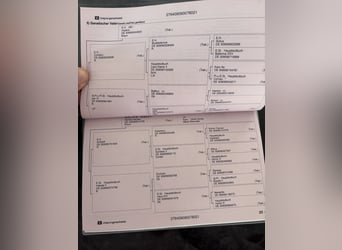 Trakehner, Hongre, 5 Ans, 170 cm, Alezan