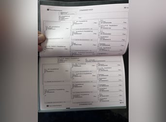 Trakehner, Jument, 3 Ans, 170 cm, Bai brun