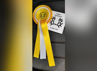 Trakehner, Semental, Potro (05/2025), Alazán-tostado