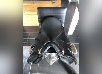 Trakehner, Stute, 5 Jahre, 170 cm, Brauner