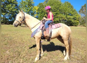 Trekpaard, Merrie, 4 Jaar, 142 cm, Palomino