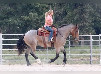 Trekpaard Mix, Ruin, 3 Jaar, 160 cm, Roan-Bay