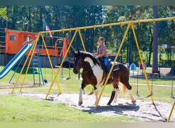 Trekpaard Mix, Ruin, 3 Jaar, Gevlekt-paard