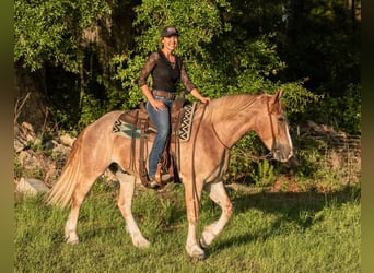 Trekpaard Mix, Ruin, 4 Jaar, 155 cm, Roan-Red