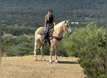 Trekpaard Mix, Ruin, 4 Jaar, 155 cm, Roodvos