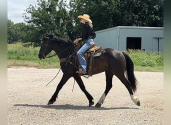 Trekpaard, Ruin, 4 Jaar, 165 cm, Zwart