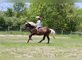 Trekpaard, Ruin, 4 Jaar, 170 cm, Brauner