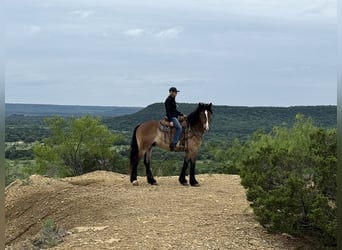 Trekpaard Mix, Ruin, 4 Jaar, Roodbruin