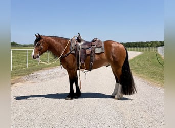 Trekpaard Mix, Ruin, 4 Jaar, Roodbruin