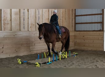 Trekpaard Mix, Ruin, 5 Jaar, 165 cm, Roodbruin