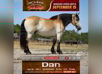 Trekpaard Mix, Ruin, 9 Jaar, 155 cm, Buckskin