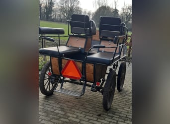 Tuigpaard, Castrone, 22 Anni, 165 cm, Morello
