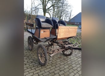 Tuigpaard, Wallach, 22 Jahre, 165 cm, Rappe