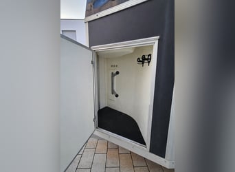 Paard & pony trailer Wörmann Milano met aluminium bodem – bijna nieuw – nieuwe keuring