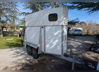 Paard Westfalia, 1200 kg, te schenken