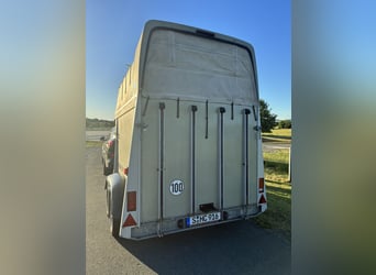 Paardentrailer Humbaur Atis volledig polymeer met aluminium bodem