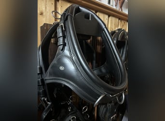 Fa Mönch Marathon Kombis