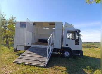 Vrachtwagen voor 3 paarden