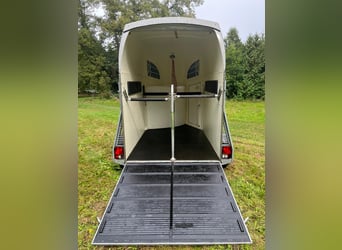 Böckmann Comfort paardentrailer