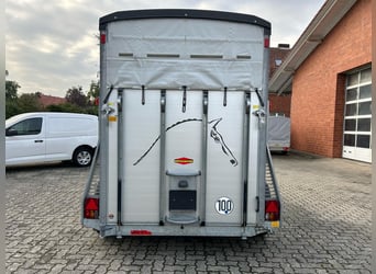 Böckmann Portax E Pferdeanhänger 2,4t Satttelkammer 100km/h Hecktür schwenkbar 