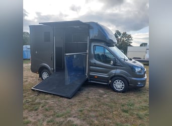 Ford Roelofsen Parados 2 Pferdetransporter