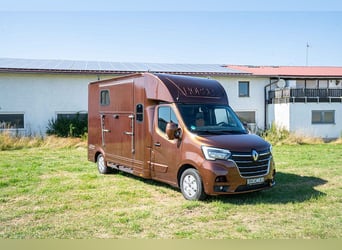 Paardentransporter, hengstuitvoering, 5-zits, slechts 43.300 km, airconditioning, navigatie, vee-tra