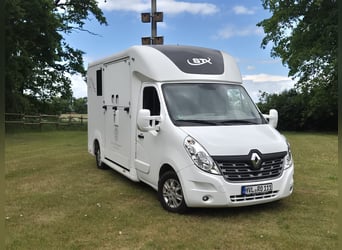 Renault Master STX Paardentransporter | Automaat | 170 pk | 3,5 ton | 34.700 km