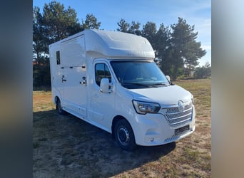 Renault Roelofsen Pferdetransporter Parados Pferde LKW NEU