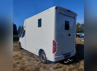 Renault Roelofsen Pferdetransporter Parados Pferde LKW NEU