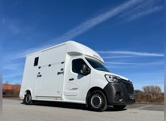 Renault ROELOFSEN YORSE 2-Pferdetransporter SONDERMODELL NEU