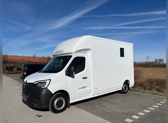 Renault ROELOFSEN YORSE 2-Pferdetransporter SONDERMODELL NEU