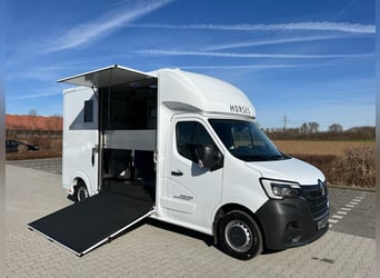 Renault ROELOFSEN YORSE 2-Pferdetransporter SONDERMODELL NEU