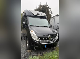 Stephex Renault Master 2-paards paardentransporter