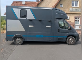 Twee paardentransporters Peugeot