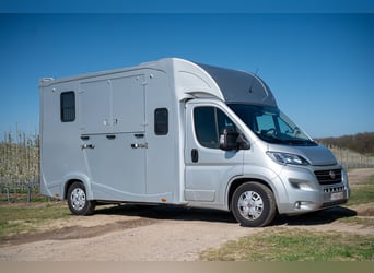 FIAT - DUCATO (2020)