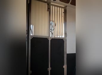 FIAT - DUCATO (2020)