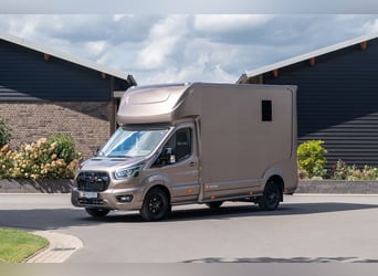 Ford Roelofsen Parados Sport 2-Paardetransporter Deluxe Edition - Automaat - Direct beschikbaar!