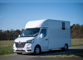 NEW RENAULT - MASTER (0000)