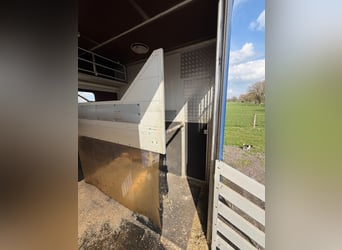Paardentransporter 814 Mercedes met H-registratie voor 4 paarden. Nieuwe keuring.