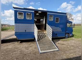 Paardentransporter 814 Mercedes met H-registratie voor 4 paarden. Nieuwe keuring.