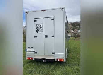 Paardentransporter MAN TGE 3.180 Automaat 3,5 ton Horsetruck