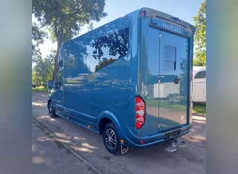 Renault Roelofsen Pferdetransporter Parados 